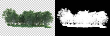 Maskeli, şeffaf arka planda yeşil ağaçlar. 3D görüntüleme. Doğa                           
