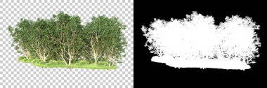 Maskeli, şeffaf arka planda yeşil ağaçlar. 3D görüntüleme. Doğa                           