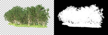 Maskeli, şeffaf arka planda yeşil ağaçlar. 3D görüntüleme. Doğa                           