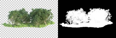 Maskeli, şeffaf arka planda yeşil ağaçlar. 3D görüntüleme. Doğa                           