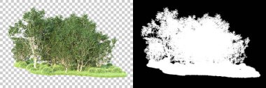 Maskeli, şeffaf arka planda yeşil ağaçlar. 3D görüntüleme. Doğa                           
