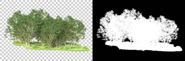 Maskeli, şeffaf arka planda yeşil ağaçlar. 3D görüntüleme. Doğa                           