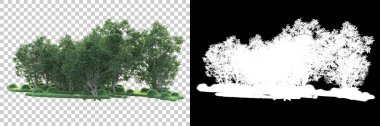 Maskeli, şeffaf arka planda yeşil ağaçlar. 3D görüntüleme. Doğa                           