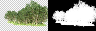Maskeli, şeffaf arka planda yeşil ağaçlar. 3D görüntüleme. Doğa                           