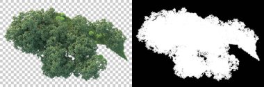 Maskeli, şeffaf arka planda yeşil ağaçlar. 3D görüntüleme. Doğa                           