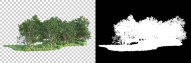 Maskeli, şeffaf arka planda yeşil ağaçlar. 3D görüntüleme. Doğa                           