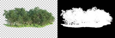 Maskeli, şeffaf arka planda yeşil ağaçlar. 3D görüntüleme. Doğa                           