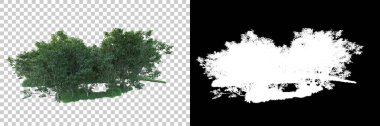 Maskeli, şeffaf arka planda yeşil ağaçlar. 3D görüntüleme. Doğa                           