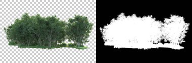 Maskeli, şeffaf arka planda yeşil ağaçlar. 3D görüntüleme. Doğa                           