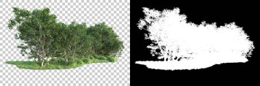 Maskeli, şeffaf arka planda yeşil ağaçlar. 3D görüntüleme. Doğa                           