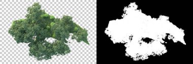 Maskeli, şeffaf arka planda yeşil ağaçlar. 3D görüntüleme. Doğa                           