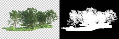 Maskeli, şeffaf arka planda yeşil ağaçlar. 3D görüntüleme. Doğa                           