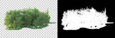 Maskeli, şeffaf arka planda yeşil ağaçlar. 3D görüntüleme. Doğa                           