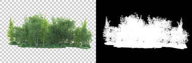 Maskeli, şeffaf arka planda yeşil ağaçlar. 3D görüntüleme. Doğa                           