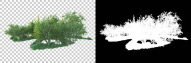 Maskeli, şeffaf arka planda yeşil ağaçlar. 3D görüntüleme. Doğa                           