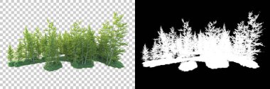 Maskeli, şeffaf arka planda yeşil ağaçlar. 3D görüntüleme. Doğa                           