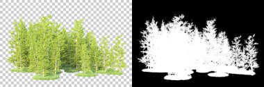 Maskeli, şeffaf arka planda yeşil ağaçlar. 3D görüntüleme. Doğa                           