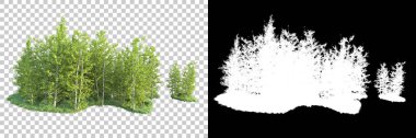 Maskeli, şeffaf arka planda yeşil ağaçlar. 3D görüntüleme. Doğa                           