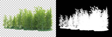 Maskeli, şeffaf arka planda yeşil ağaçlar. 3D görüntüleme. Doğa                           