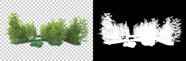 Maskeli, şeffaf arka planda yeşil ağaçlar. 3D görüntüleme. Doğa                           