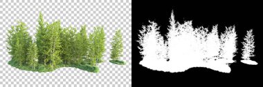 Maskeli, şeffaf arka planda yeşil ağaçlar. 3D görüntüleme. Doğa                           