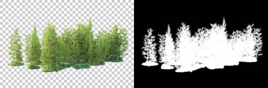Maskeli, şeffaf arka planda yeşil ağaçlar. 3D görüntüleme. Doğa                           
