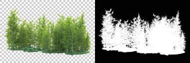 Maskeli, şeffaf arka planda yeşil ağaçlar. 3D görüntüleme. Doğa                           