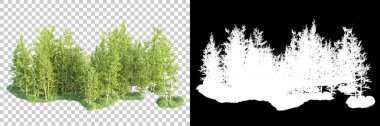 Maskeli, şeffaf arka planda yeşil ağaçlar. 3D görüntüleme. Doğa                           