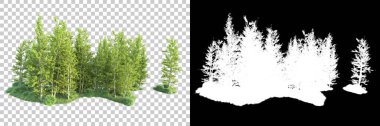 Maskeli, şeffaf arka planda yeşil ağaçlar. 3D görüntüleme. Doğa                           