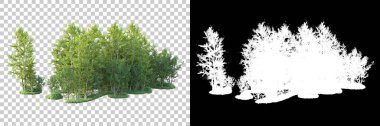 Maskeli, şeffaf arka planda yeşil ağaçlar. 3D görüntüleme. Doğa                           