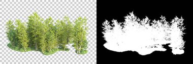 Maskeli, şeffaf arka planda yeşil ağaçlar. 3D görüntüleme. Doğa                           