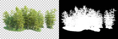 Maskeli, şeffaf arka planda yeşil ağaçlar. 3D görüntüleme. Doğa                           