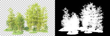 Maskeli, şeffaf arka planda yeşil ağaçlar. 3D görüntüleme. Doğa                           