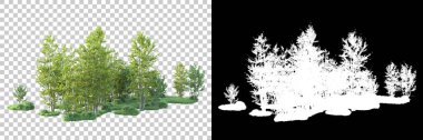 Maskeli, şeffaf arka planda yeşil ağaçlar. 3D görüntüleme. Doğa                           