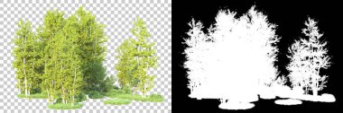 Maskeli, şeffaf arka planda yeşil ağaçlar. 3D görüntüleme. Doğa                           