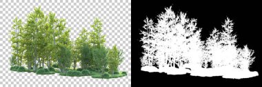 Maskeli, şeffaf arka planda yeşil ağaçlar. 3D görüntüleme. Doğa                           