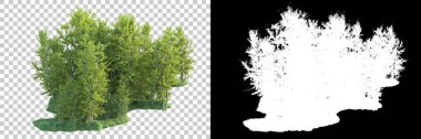 Maskeli, şeffaf arka planda yeşil ağaçlar. 3D görüntüleme. Doğa                           