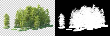 Maskeli, şeffaf arka planda yeşil ağaçlar. 3D görüntüleme. Doğa                           
