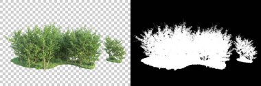 Maskeli, şeffaf arka planda yeşil ağaçlar. 3D görüntüleme. Doğa                           