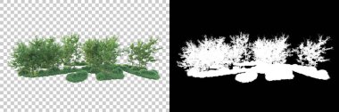 Maskeli, şeffaf arka planda yeşil ağaçlar. 3D görüntüleme. Doğa                           