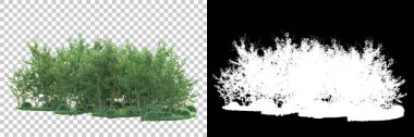Maskeli, şeffaf arka planda yeşil ağaçlar. 3D görüntüleme. Doğa                           