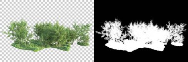 Maskeli, şeffaf arka planda yeşil ağaçlar. 3D görüntüleme. Doğa                           