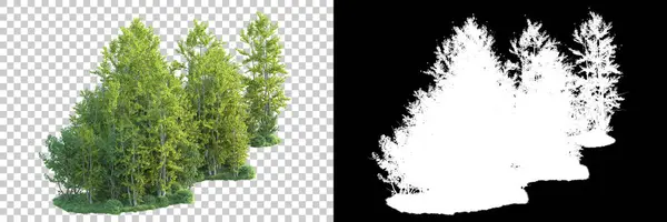 Green trees on transparent background with mask. 3d rendering. Nature