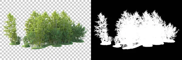 Maskeli, şeffaf arka planda yeşil ağaçlar. 3D görüntüleme. Doğa                           
