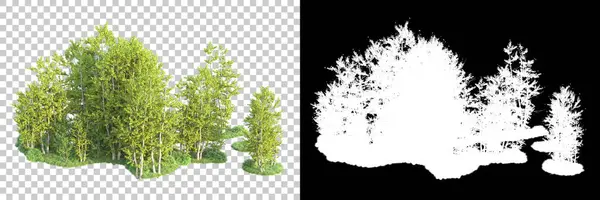 Maskeli, şeffaf arka planda yeşil ağaçlar. 3D görüntüleme. Doğa                           