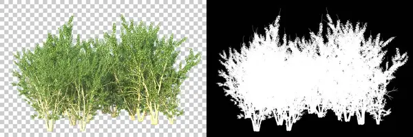 Orman ıssız. Afişler, posterler veya fotoğraf manipülasyonları için kullanışlı bir görüntü. 3d oluşturma.