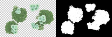 Orman ıssız. Afişler, posterler veya fotoğraf manipülasyonları için kullanışlı bir görüntü. 3d oluşturma.