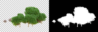 Orman arka planda bir maskeyle izole edilmiş. 3d görüntüleme - illüstrasyon