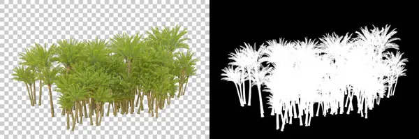 Palmiyeli tropikal orman manzarası