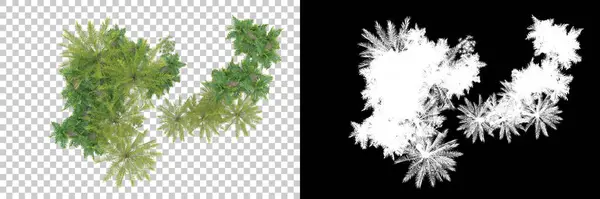 Palmiyeli tropikal orman manzarası